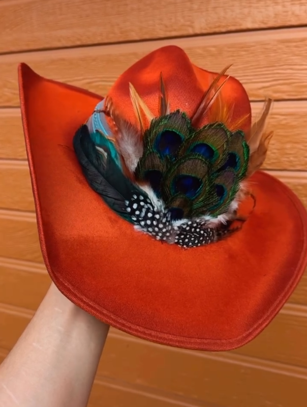 Peacock Feather Velvet Hat