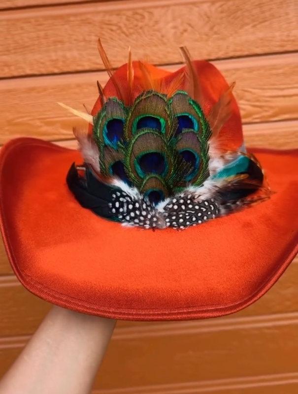 Peacock Feather Velvet Hat