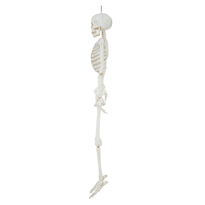 Halloween LED Poseable Skeleton Decoration