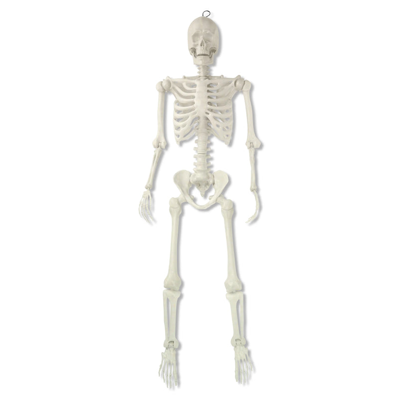 Halloween LED Poseable Skeleton Decoration