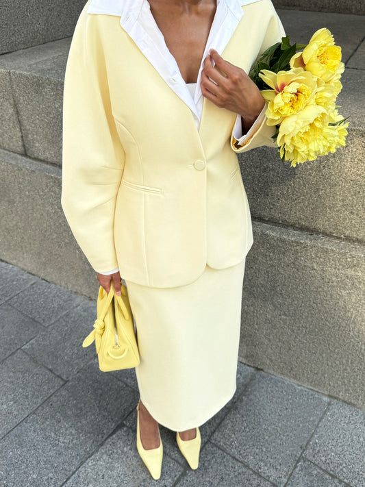 Elegant V-neck High-waist Two Pieces Dress